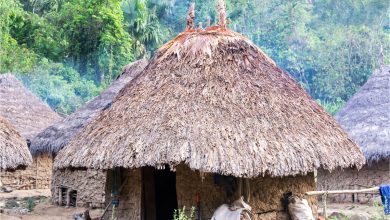 Atiaia Renováveis desenvolve projetos socioambientais em comunidades indígena do Xingu e Xavante - Canva Pro