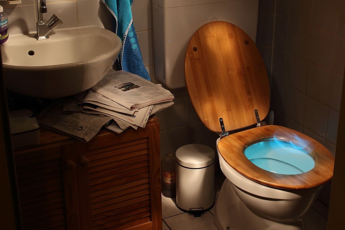 Desentupir vaso sanitário pode ser mais fácil de que se imagina; confira essas dicas e se surpreenda. Foto: Pixabay