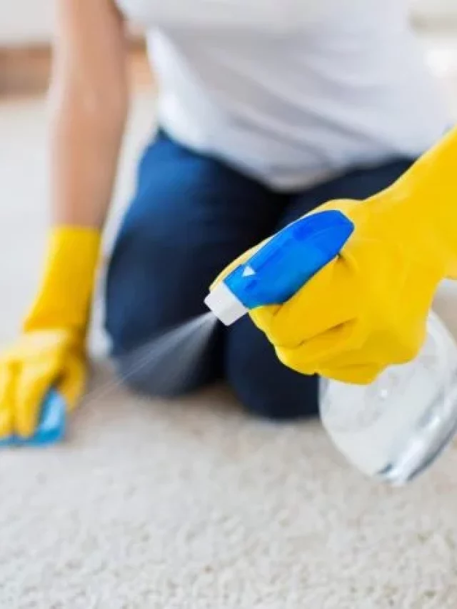 Serviço Profissional em Casa: Dicas Caseiras para Limpar Tapete