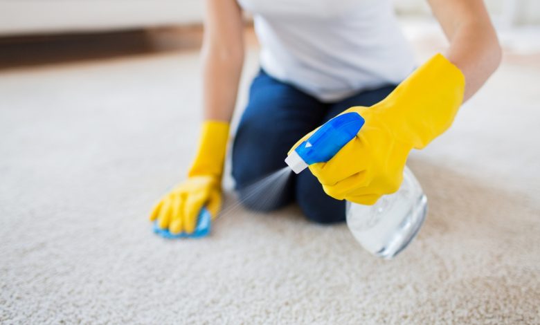 Serviço Profissional em Casa: Dicas Caseiras para Limpar Tapete