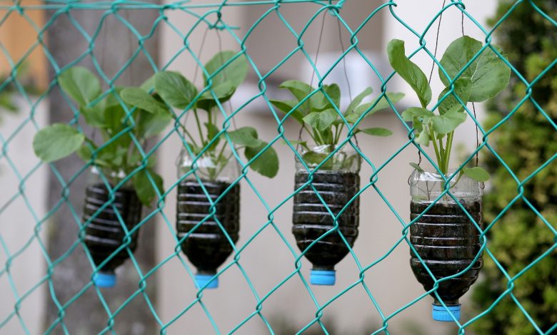 Jardinagem criativa: como fazer vasos de plantas de materiais recicláveis