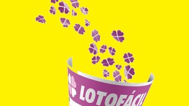 Resultado da Lotofácil: 4 apostadores ganham R$ 346 mil no concurso 2962